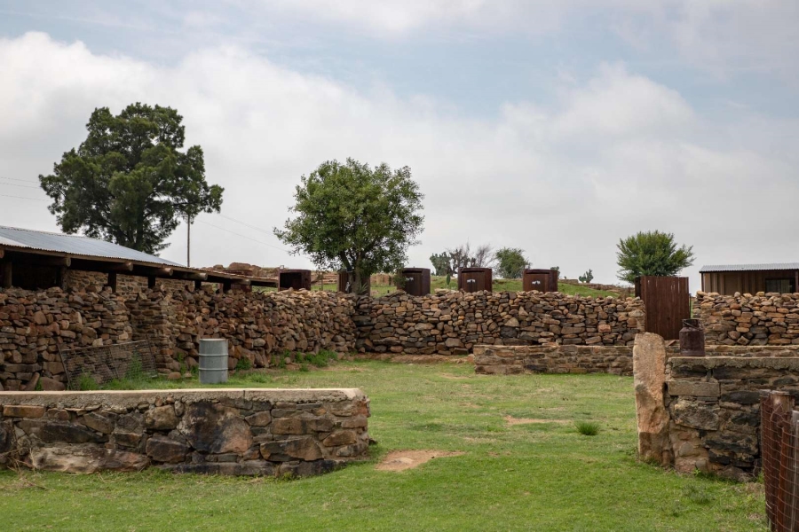 18 Bedroom Property for Sale in Heilbron Free State